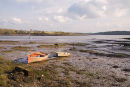 Port Lion 